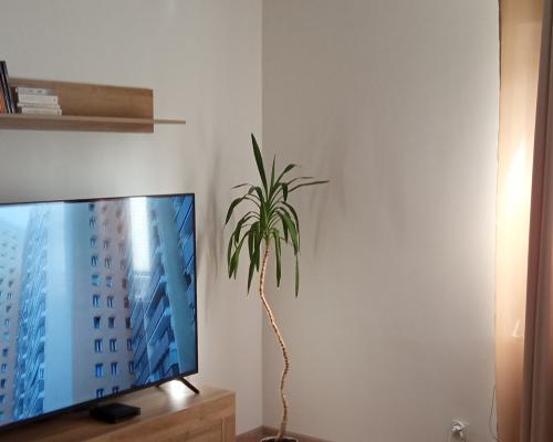 Połowa bliźniaka po remoncie, wyposażona i umeblowana.